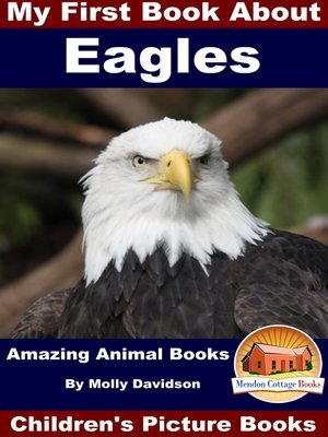 cover image of My First Book About Eagles